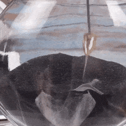 Просто гифки, всякие и разные