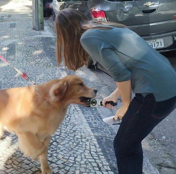 Молодая журналистка берет интервью у собаки