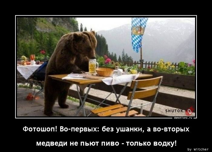 Фотошоп! Во-первых: без ушанки, а во-вторых медведи не пьют пиво - только водку!