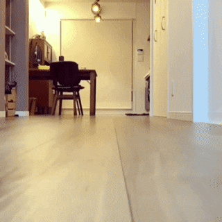 Звериные гифки Звериные гифки