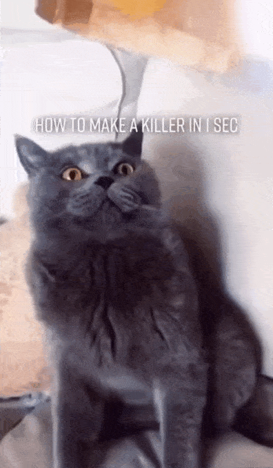 Человек, тебе конец