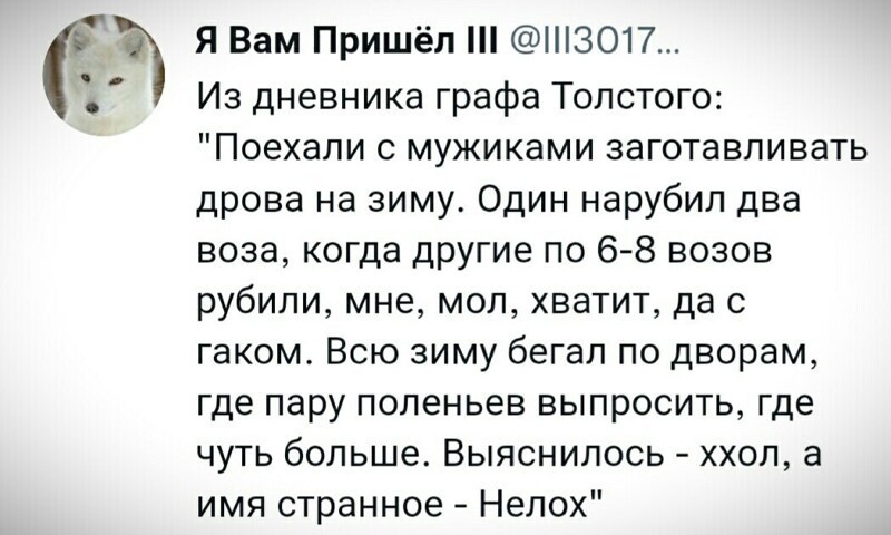 И кого-же меня так напомнило)... песца жующего поп корн не хватает.