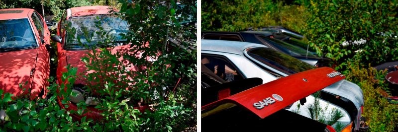 «Вы продаёте Саабов? Нет, просто показываю»: частная коллекция шведских автомобилей ржавеет под открытым небом