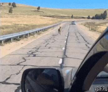 Просто гифки, всякие и разные