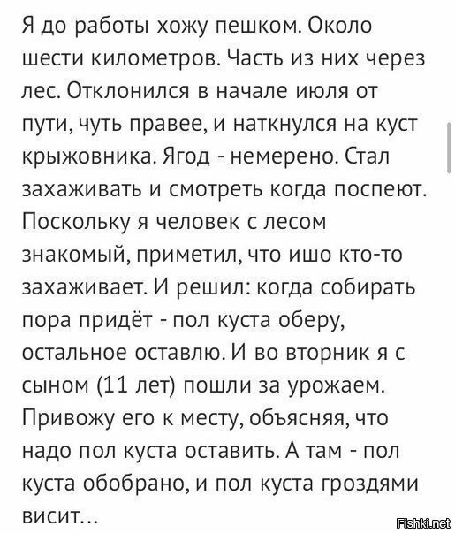 Немерено текс. Текст песни немерено. Немерено текст. Немерено лампабик текст. Немерено слова