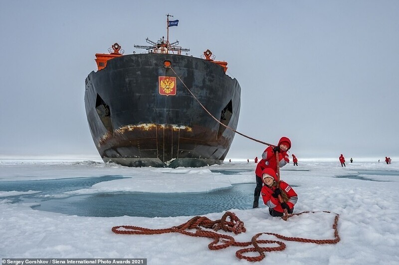 "Развлечения на Северном полюсе", фотограф Сергей Горшков