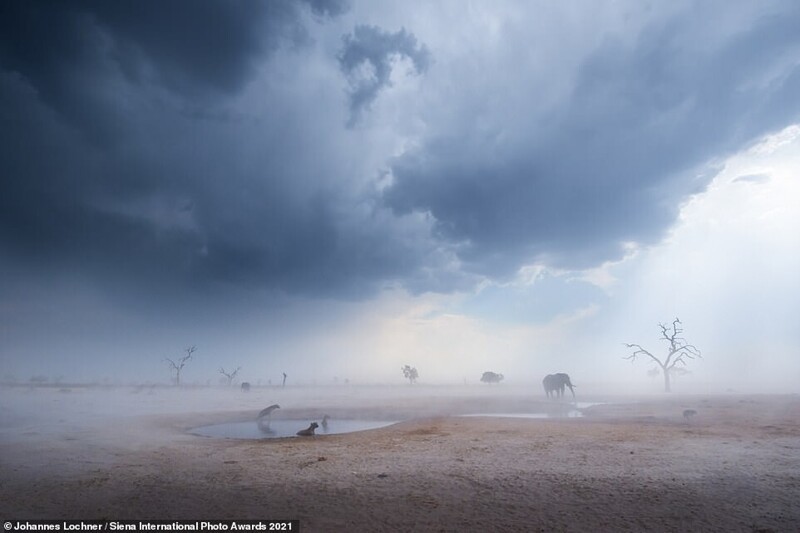 Пейзаж в национальном парке Чобе, Ботсвана. Фотограф Johannes Lochner