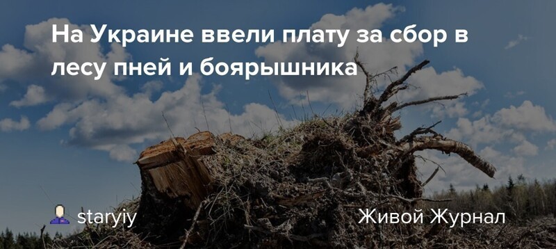 Пусть ещё раз посмеются о бесплатном валежнике ... )))