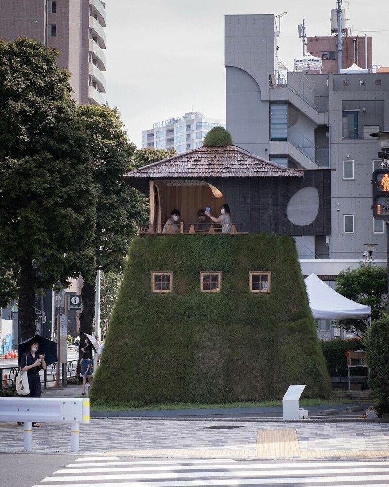 Чайный домик Go-an, построенный на старом дереве, Токио. Архитектором домика стал известный Терунобу Фухимори