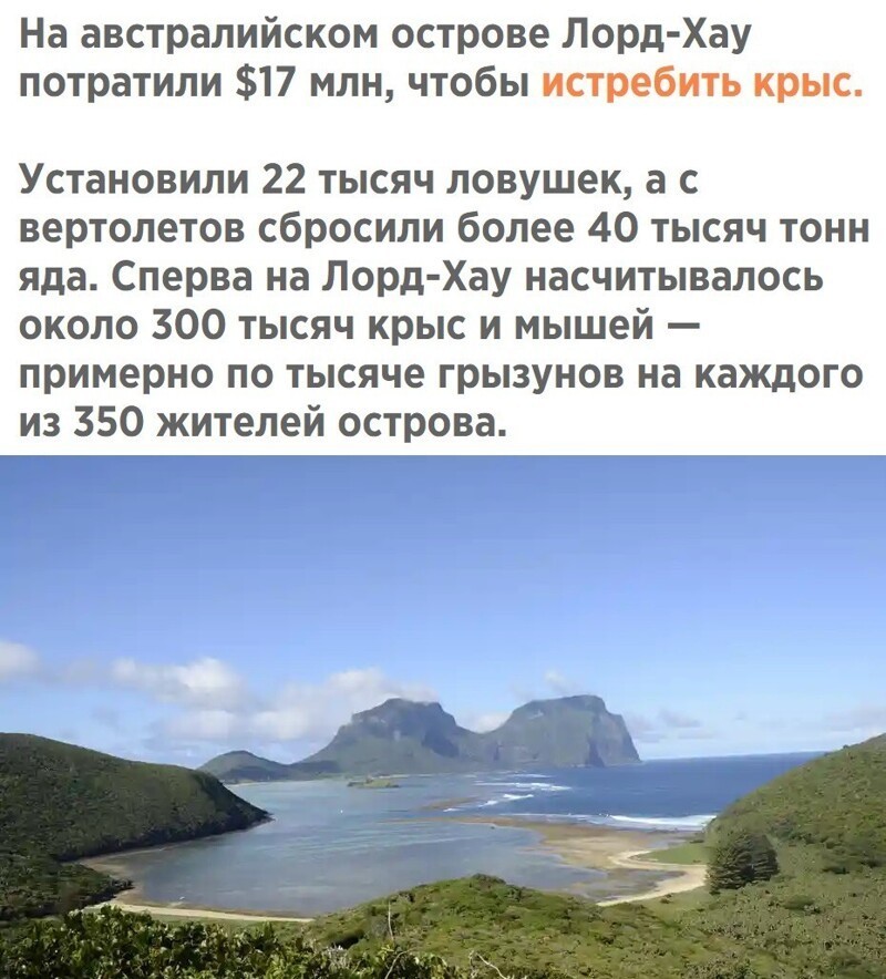 Дневные политические новости на этот час