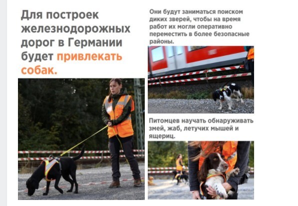 Дневные политические новости на этот час