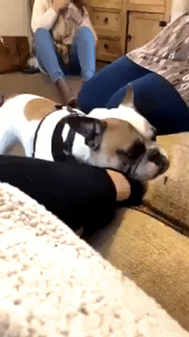 Просто гифки, всякие и разные