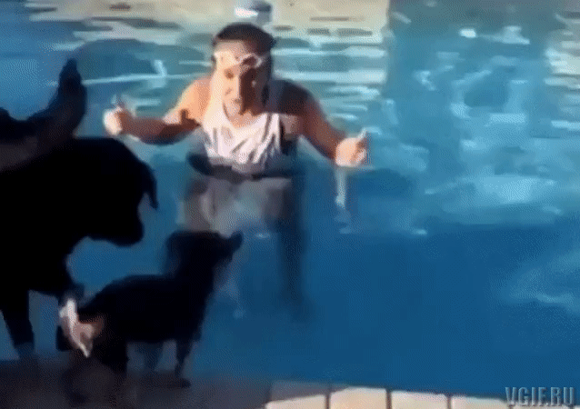 Просто гифки, всякие и разные