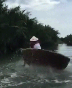 Просто гифки, всякие и разные