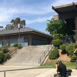 Просто гифки, всякие и разные