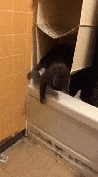 Просто гифки, всякие и разные