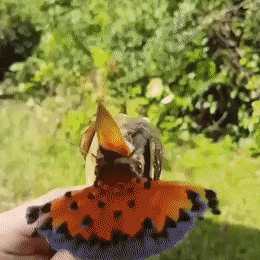 Просто гифки, всякие и разные