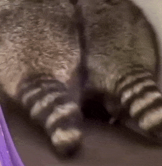 Снова гифки, гифки и гифки 