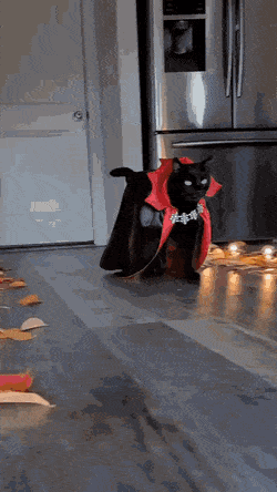 Снова гифки, гифки и гифки 