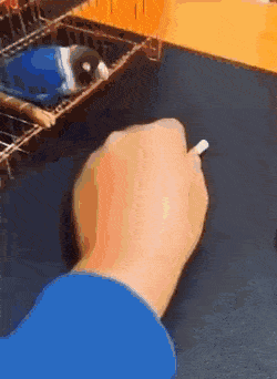 Снова гифки, гифки и гифки 