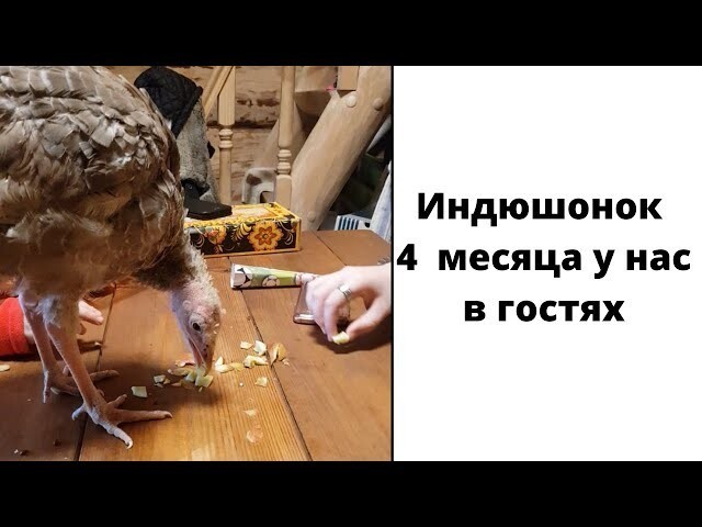 приколы которые можно посмотреть