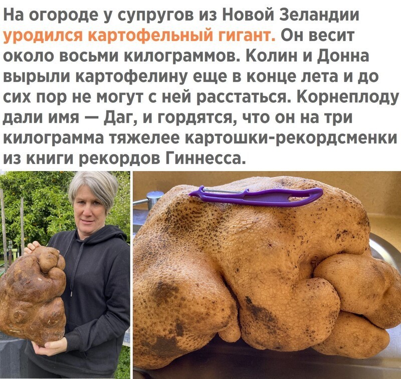 Вечернее политическое обозрение с нотками сарказма и сатиры на этот час. Выпуск 22