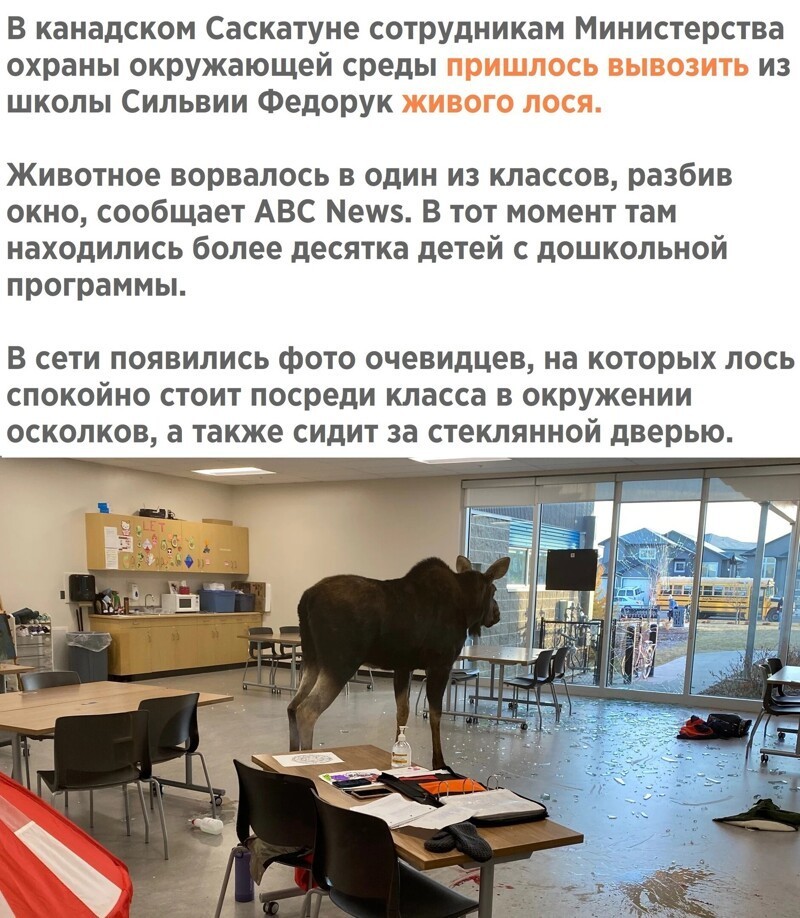 Вечернее политическое обозрение с нотками сарказма и сатиры на этот час. Выпуск 22