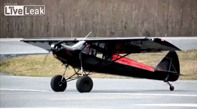 Просто гифки, всякие и разные