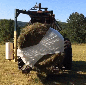 Просто гифки, всякие и разные