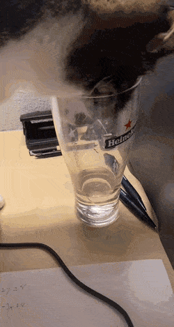 Кошачьи гифки