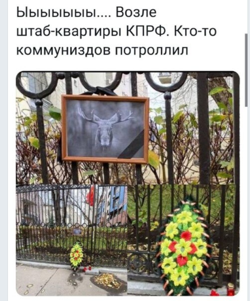 9 дней...