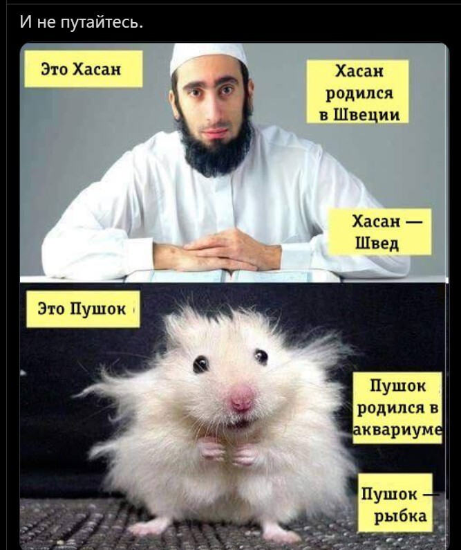 Дневное политическое обозрение с нотками сарказма и сатиры на этот час. Выпуск 23