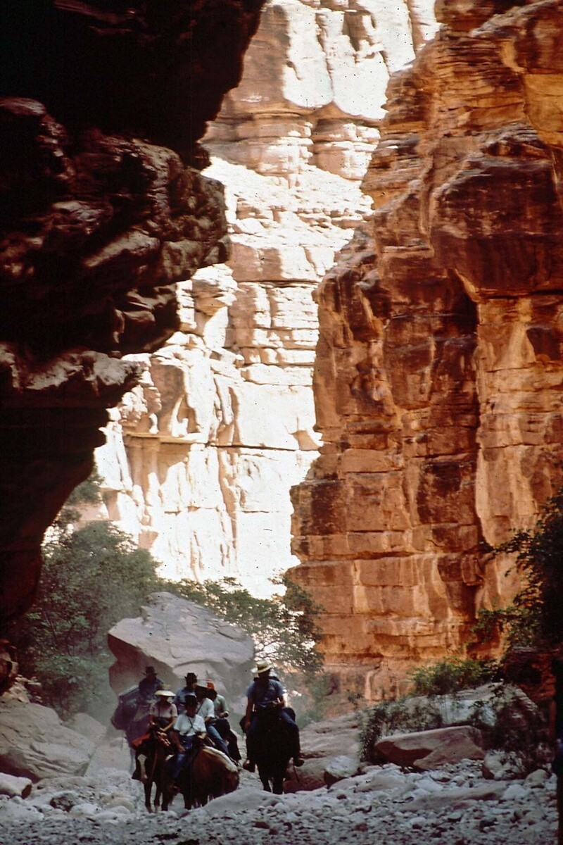 Индейцы едут через Гранд-Каньоне в деревню Супай, штат Аризона