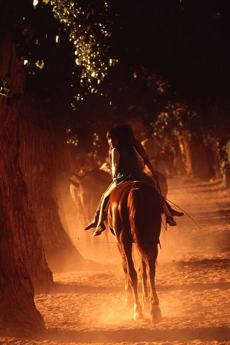 Дети катаются на лошади в деревне Супай, штат Аризона