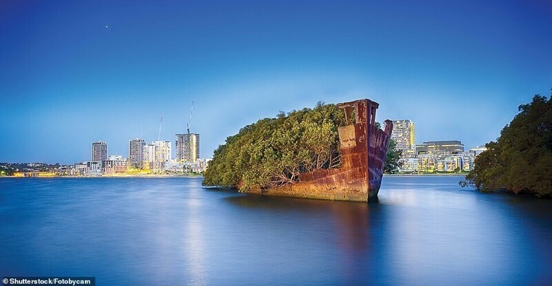 "Плавающий лес", корабль SS Ayrfield. Залив Хомбуш, река Парраматта, Новый Южный Уэльс, Австралия