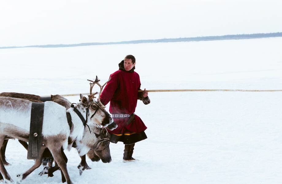 Как можно мыться жиром, с помощью спаржи или мухоморов: гигиена народов Сибири