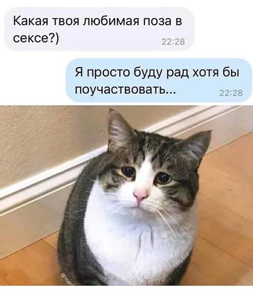 Скрины из соцсетей