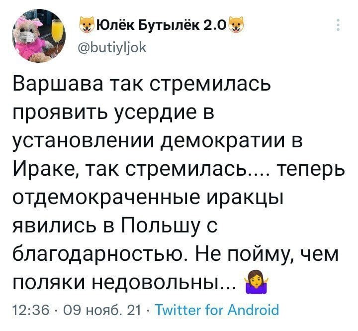 О политике и не только