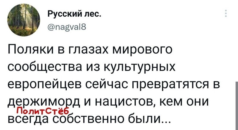 О политике и не только