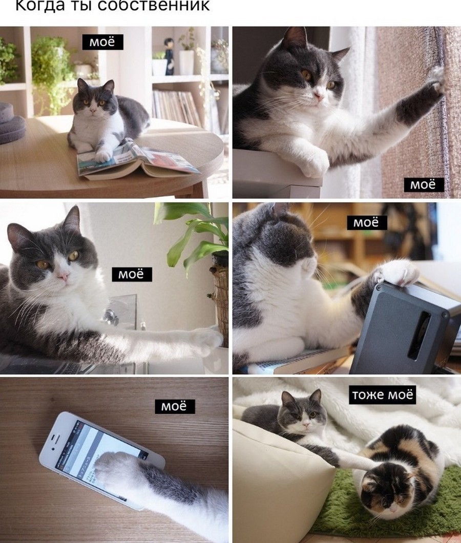 На позитиве