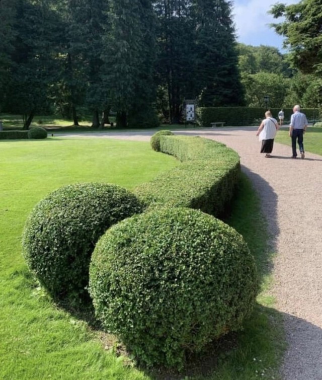 Весёлые картинки Выпуск 38