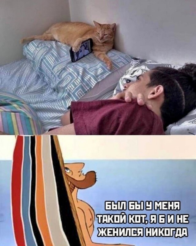 Весёлые картинки Выпуск 38
