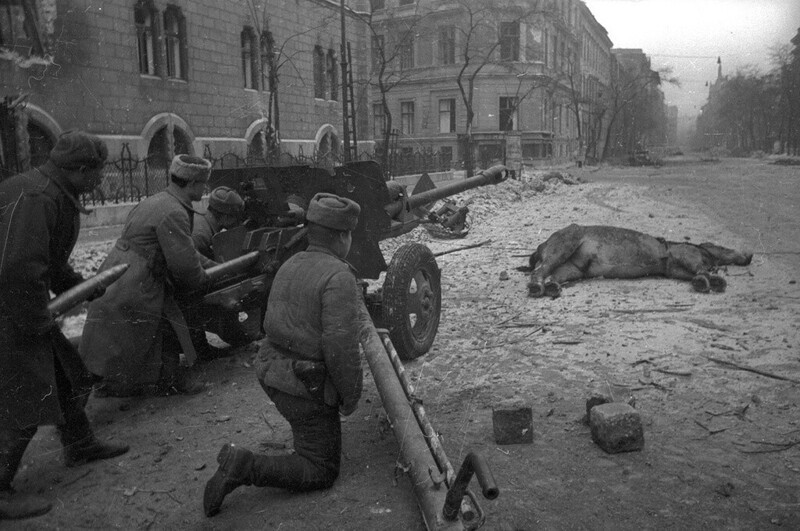 Великая Отечественная война. Освобождение Европы