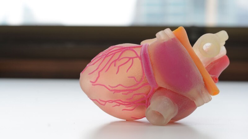 12. Развивается биоинженерия. Специалисты печатают на 3D-принтере органы, которые могут использовать пациенты, нуждающиеся в них