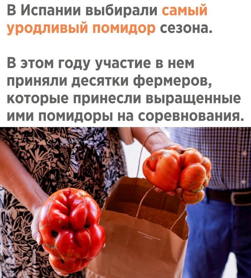 Политическое новостное обозрение с нотками сарказма и сатиры на этот час. Выпуск 27