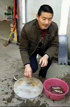 Просто гифки, всякие и разные Просто гифки, всякие и разные