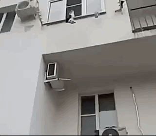 Просто гифки, всякие и разные Просто гифки, всякие и разные