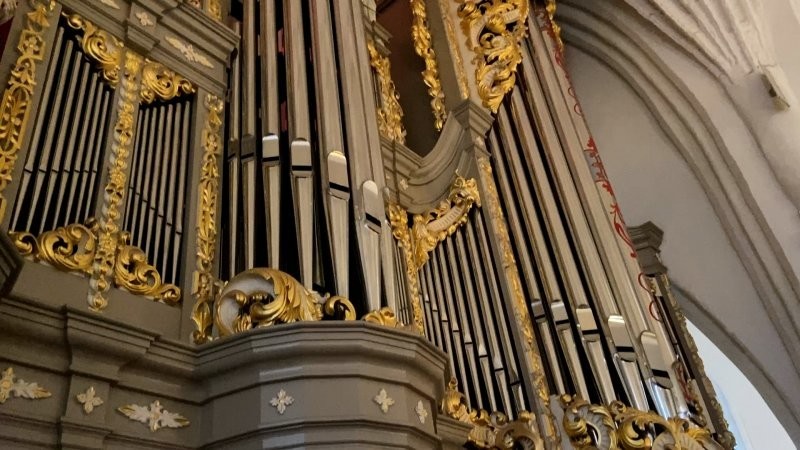 Трубы большого органа в кафедральном соборе на острове Канта.
