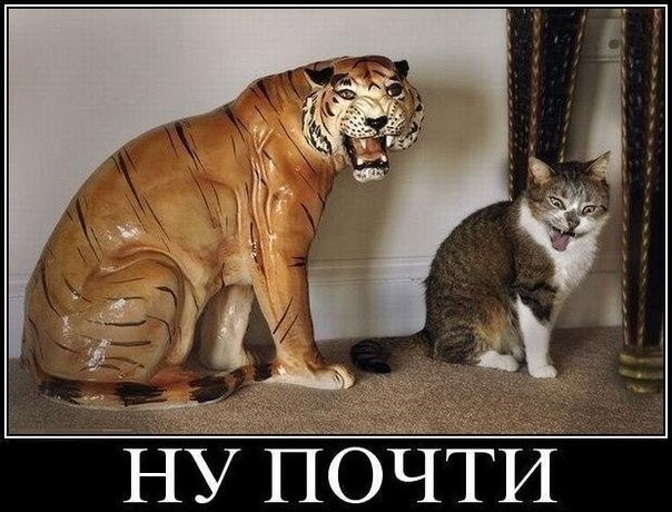 вот так всегда прикольные картинки. Смотреть фото вот так всегда прикольные картинки. Смотреть картинку вот так всегда прикольные картинки. Картинка про вот так всегда прикольные картинки. Фото вот так всегда прикольные картинки