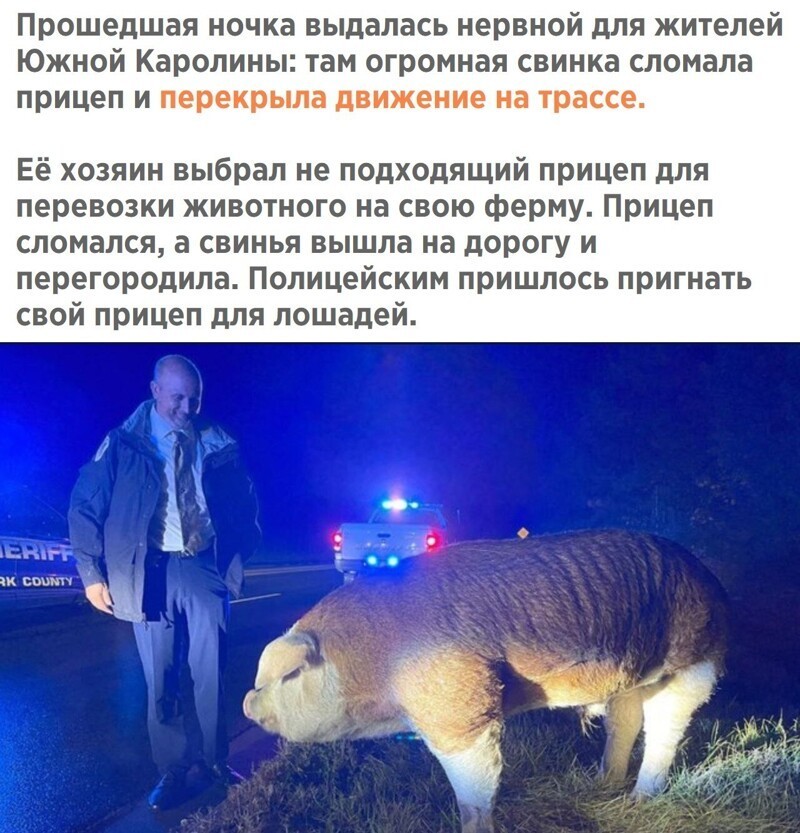 Политический новостной мониторинг , обеденный. Выпуск 28